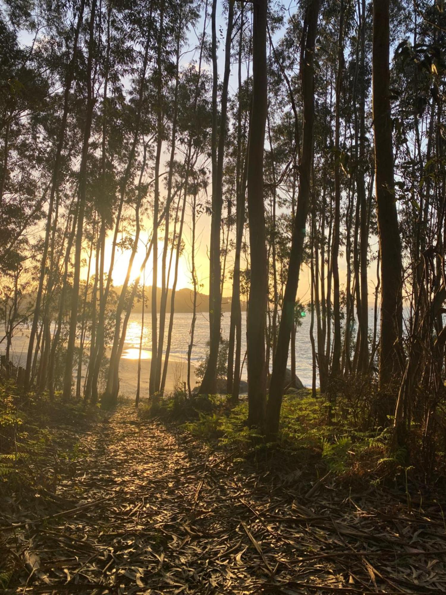 Rincon De Lagos, Bueu Pontevedra Eksteriør billede